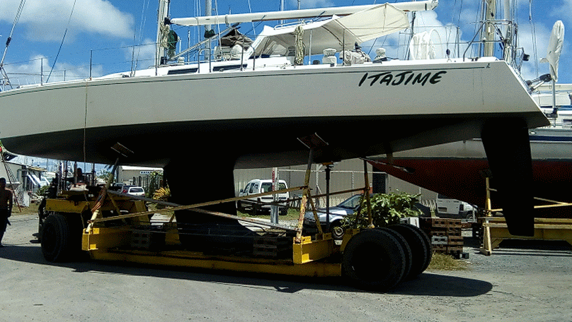 Itajime goes back in the water!