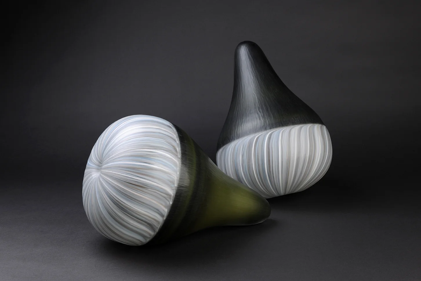 Eucalyptus Pauciflora | 2016