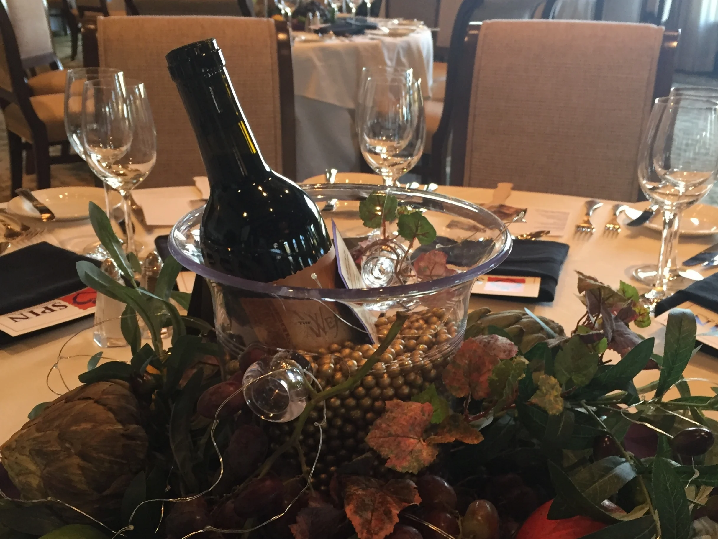 2017 SPIN Gala Sponsors - Thank You!