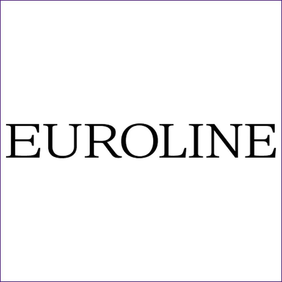 Euroline Steel Windows.jpg