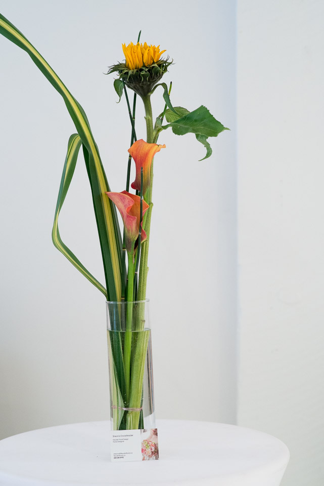 jelgerandtanja-0015-lq.jpg