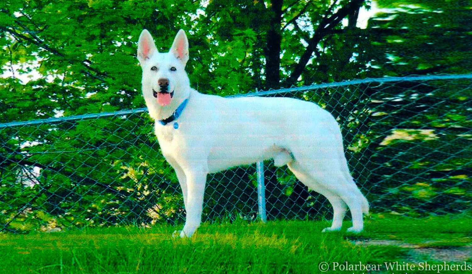 Welcome to our online newsletter!