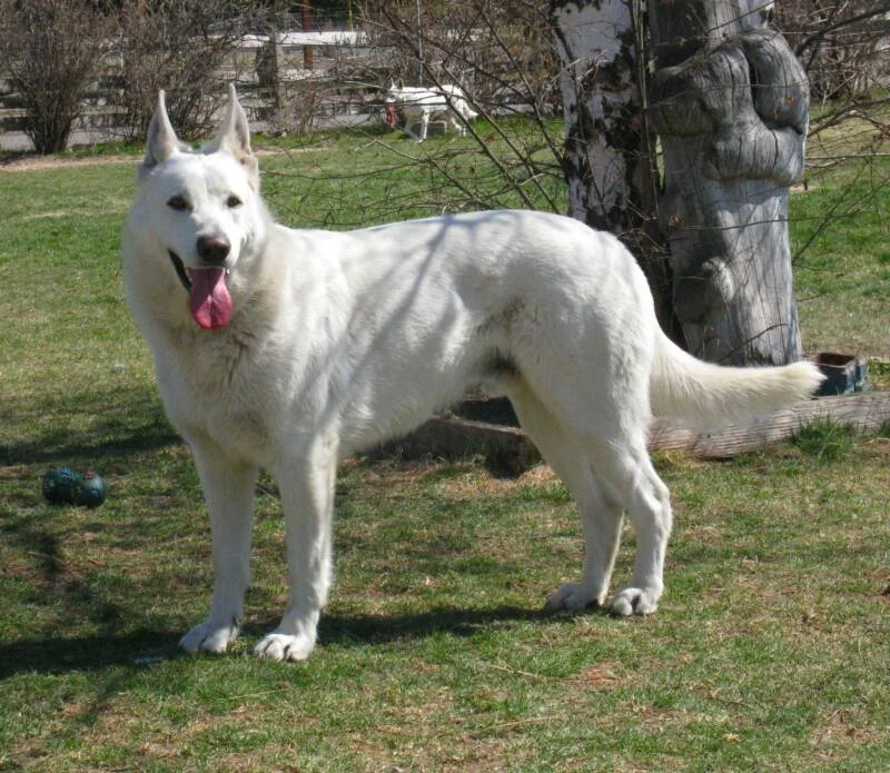 Casper2.jpg