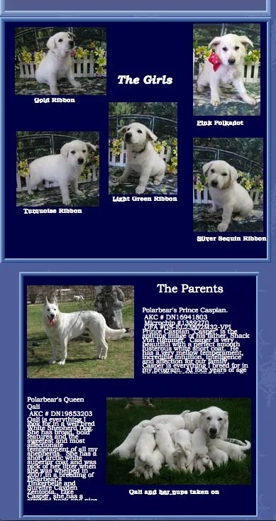 Qali's Pups