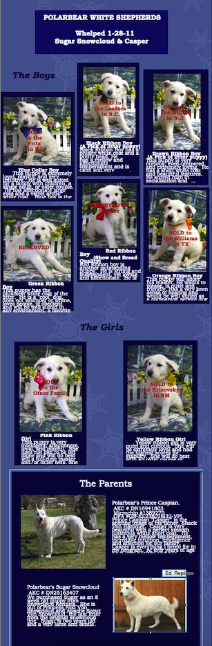Sugar & Caspers Pups Jan. 2011