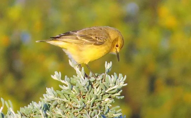 AUGUST / SEPTEMBER 2017 