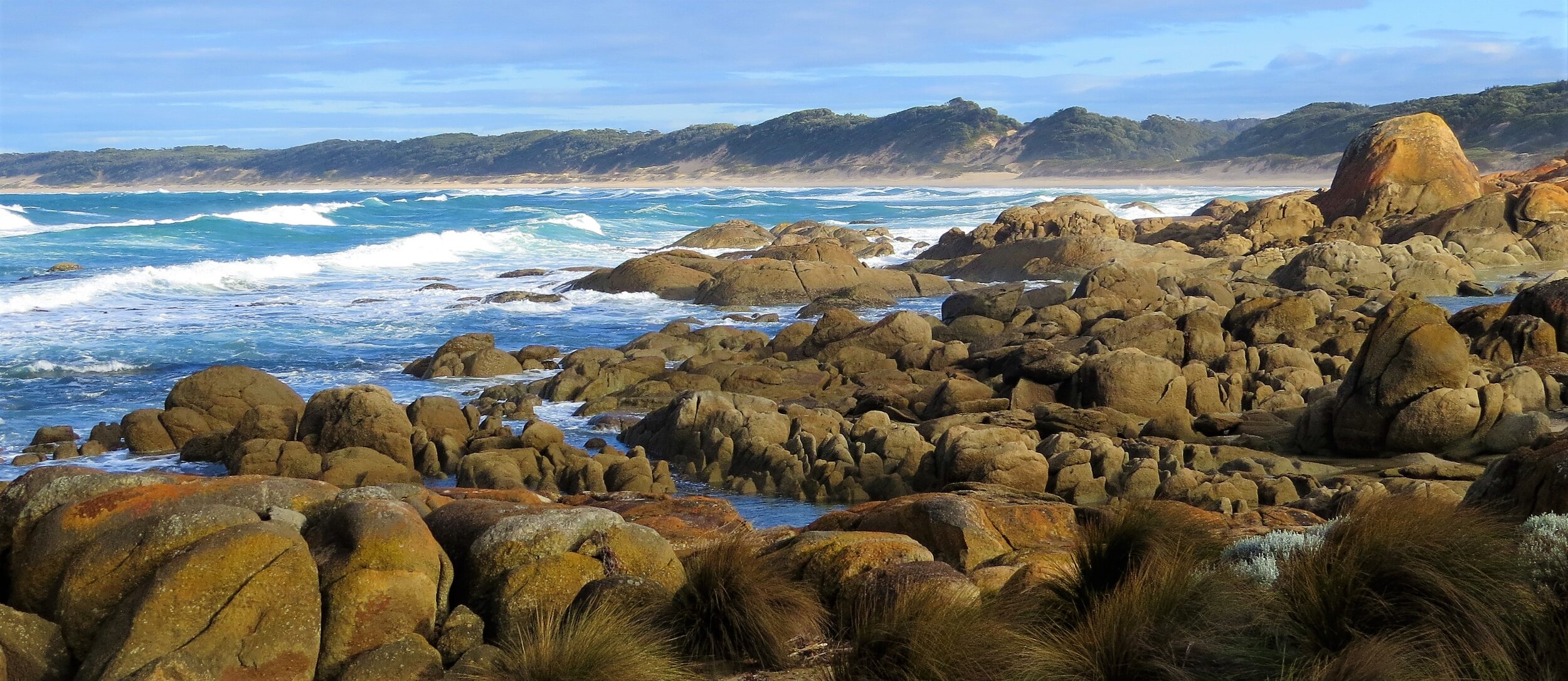 Birding Sites in Melbourne and Victoria — Birding Victoria