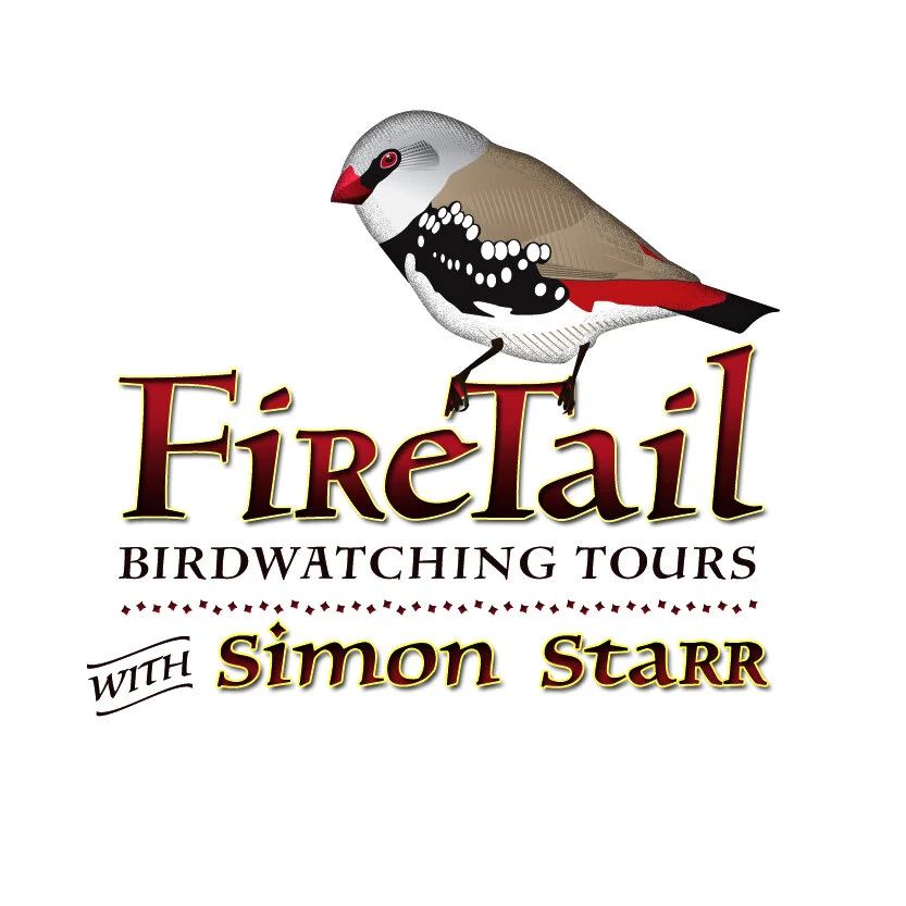 Birding Victoria Bird Watching Melbourne