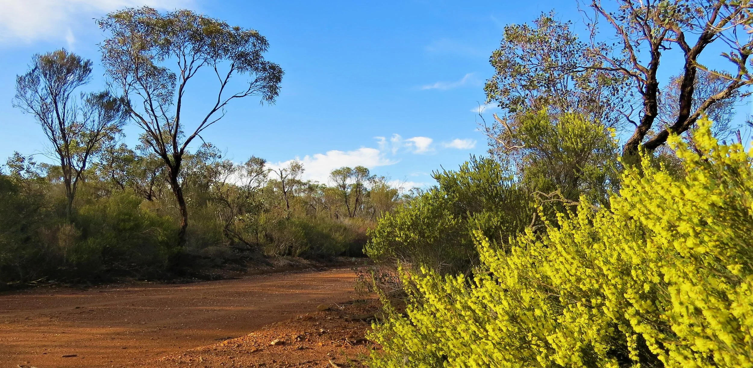 One Day Tour Options — Birding Victoria