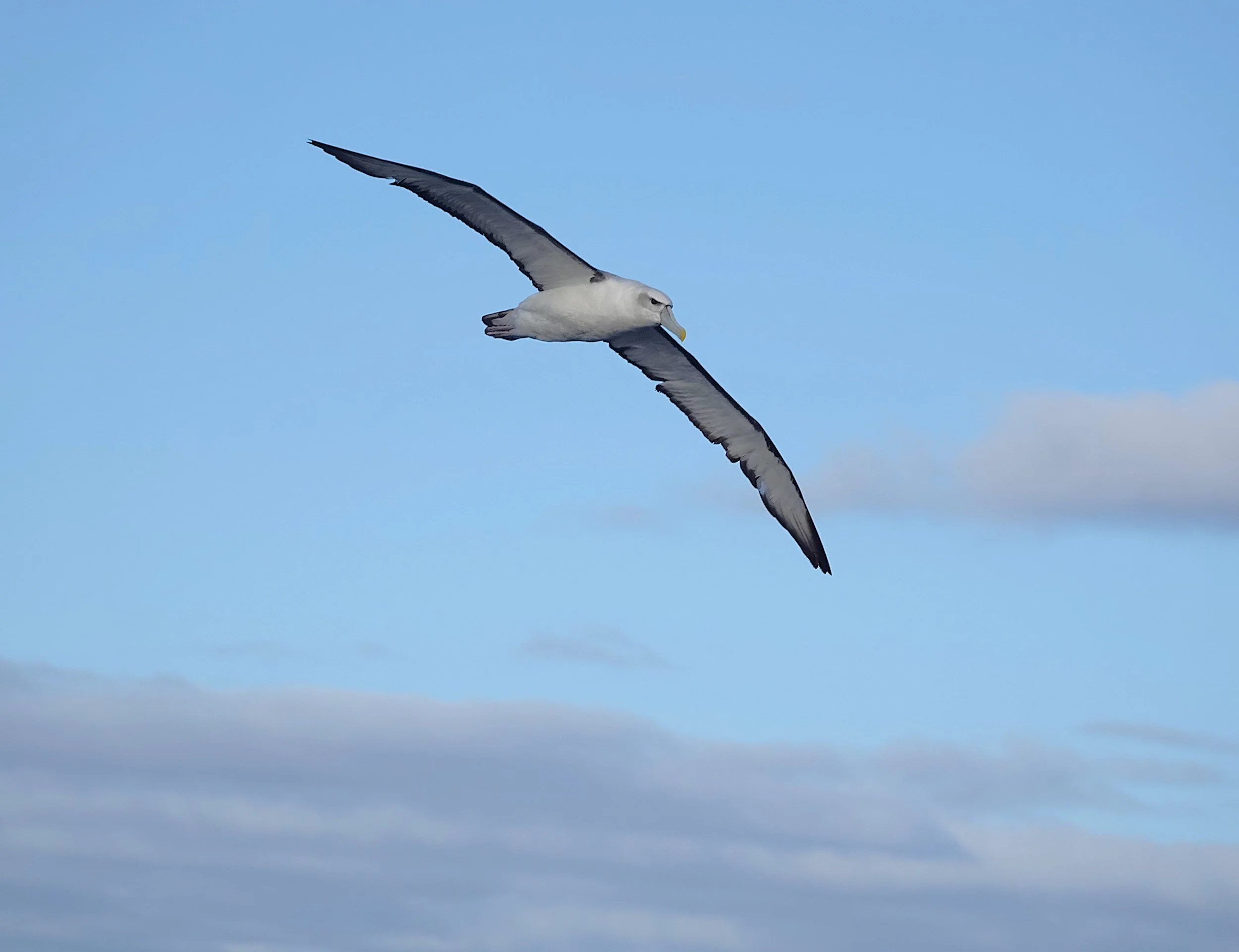 DSC03292(3).JPG