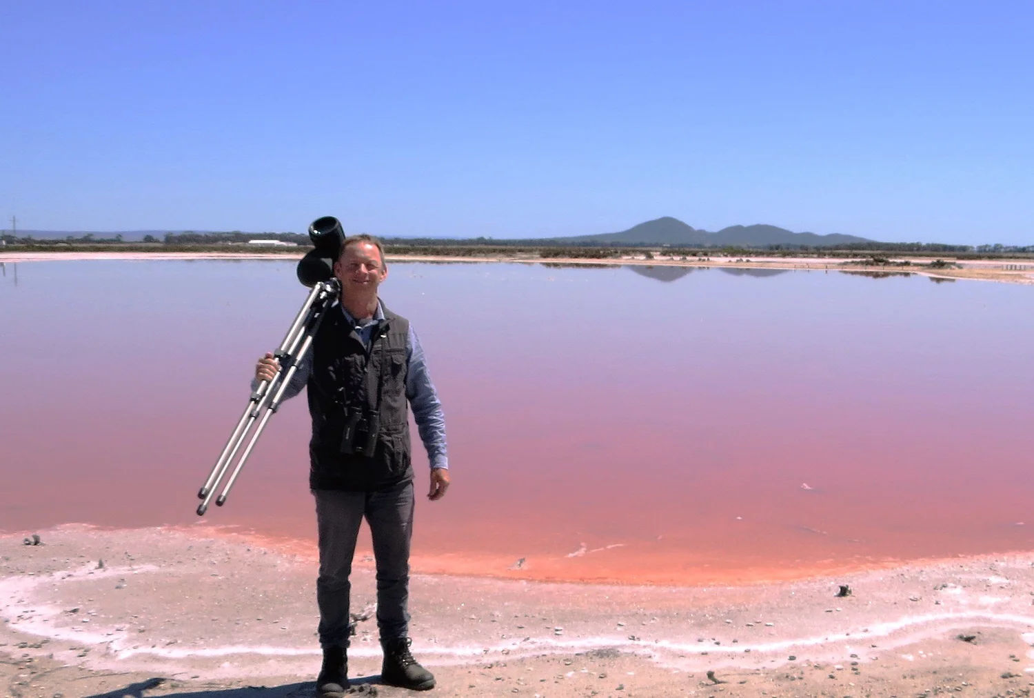 Melbourne And Victoria Birding Tours Birding Victoria