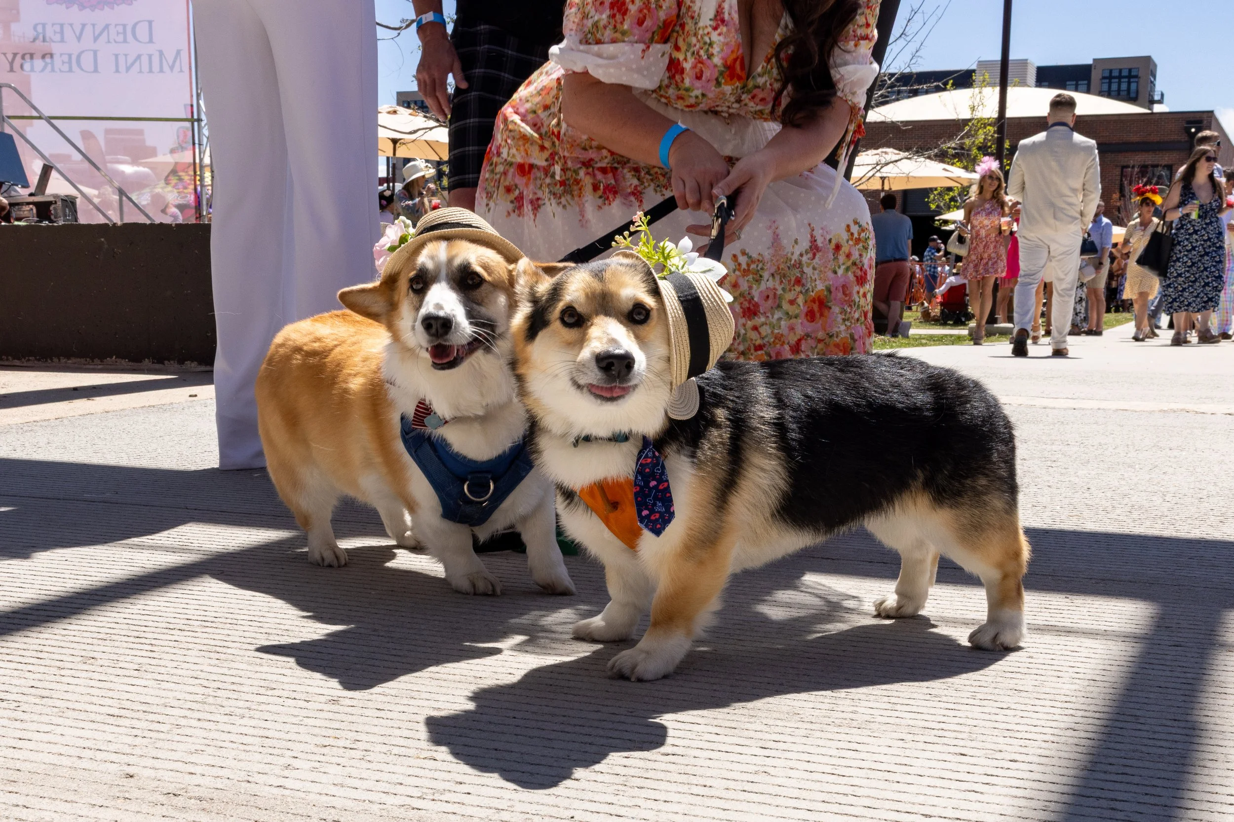 2025 Denver Mini Derby-24.jpg