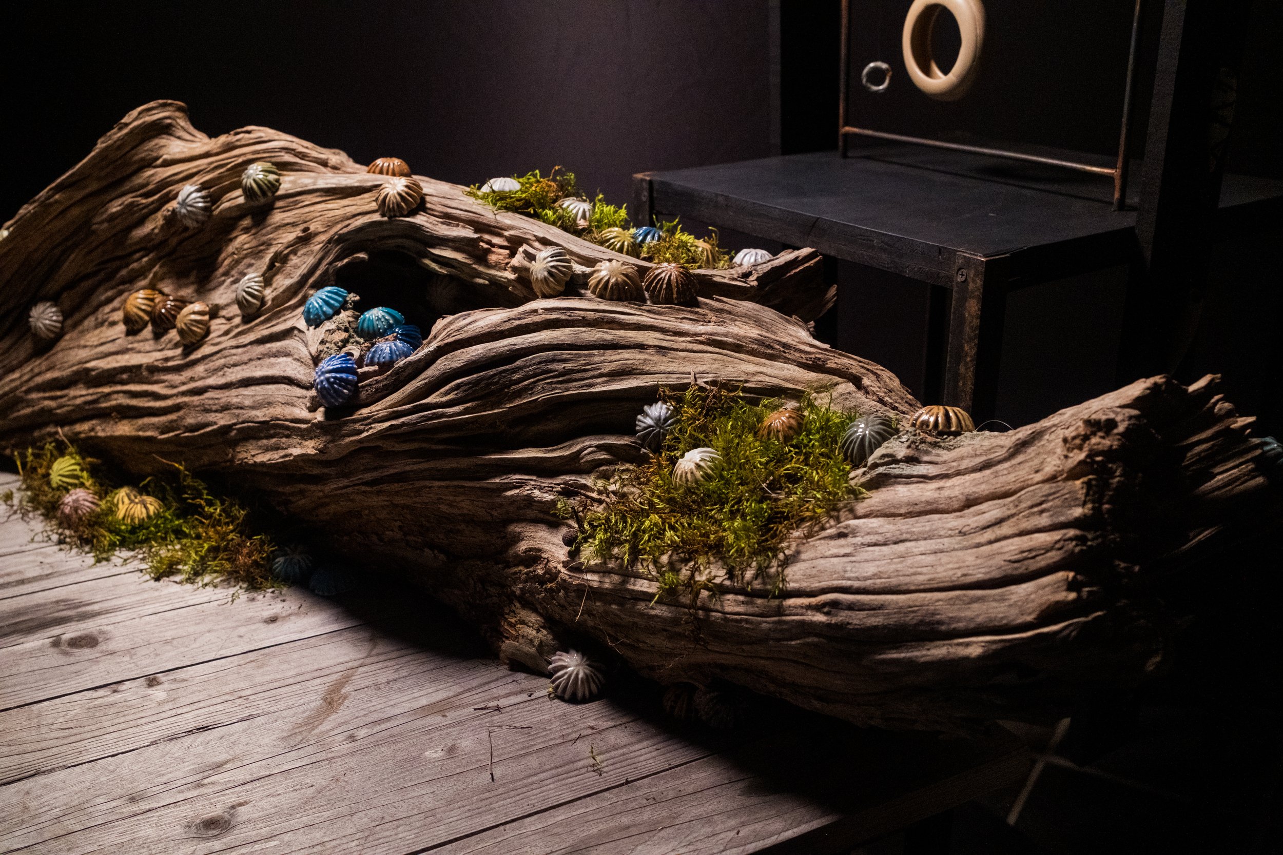 250226-TheSixResidency-507 (1).jpeg