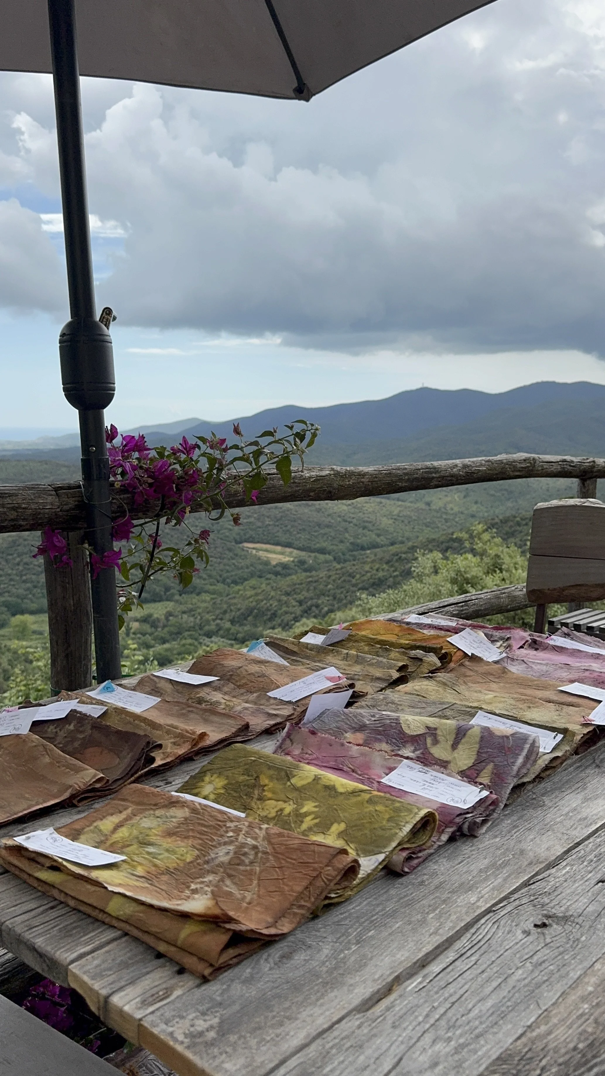 Chandra-ilbaciarino-ecoprinting2.jpg