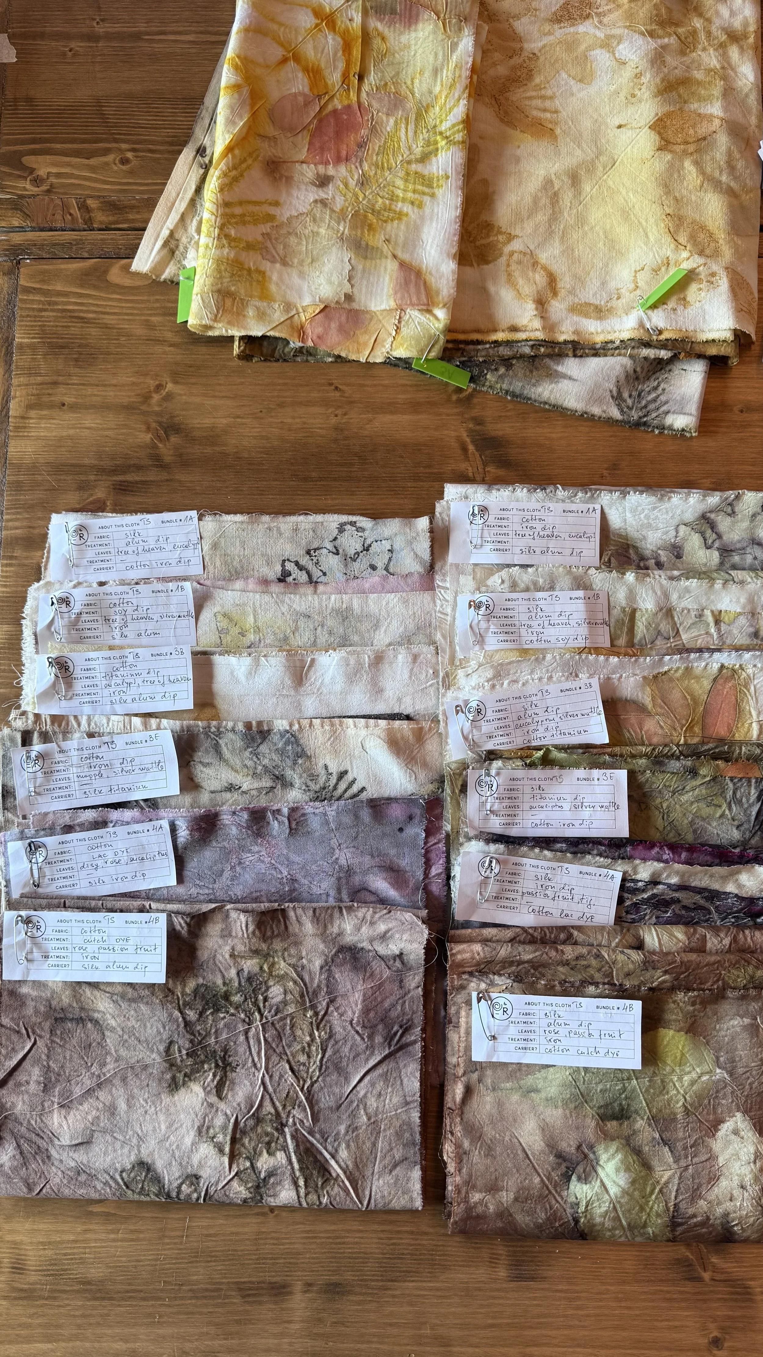 Chandra-ilbaciarino-ecoprinting1.jpg