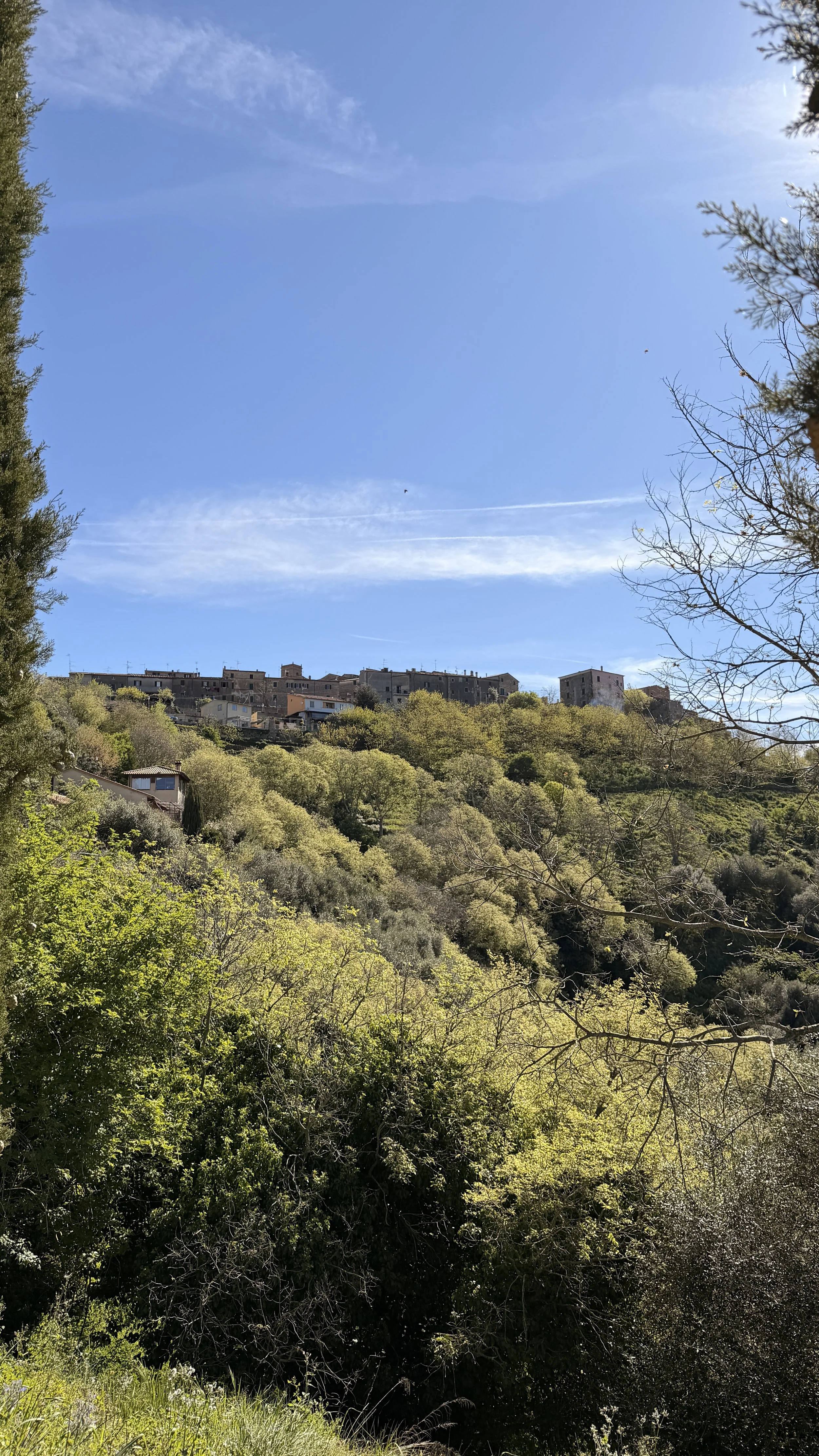 Baciarino-Italy-Tuscany12.JPG