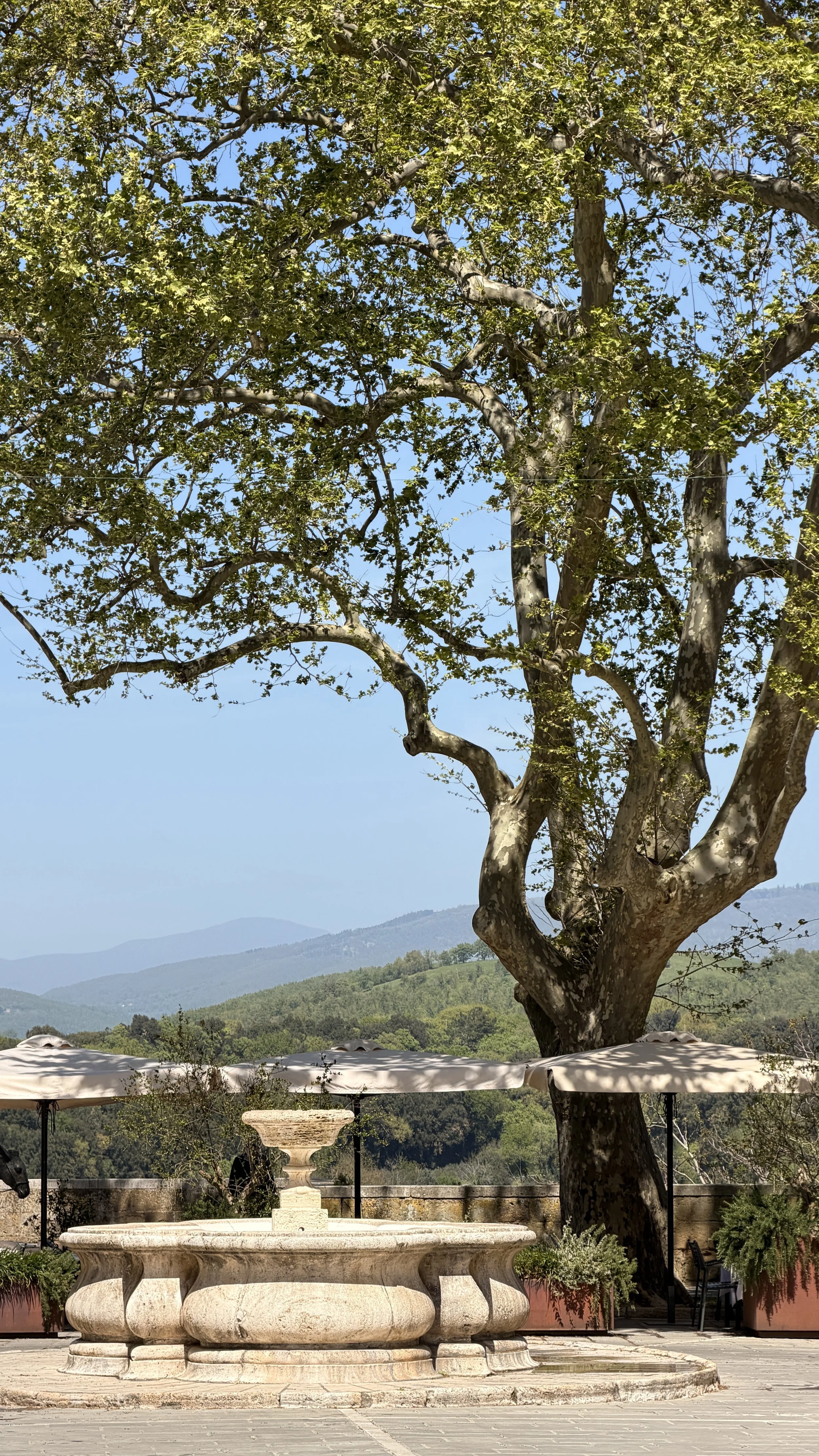tours-Baciarino-Italy-Tuscany4.JPG