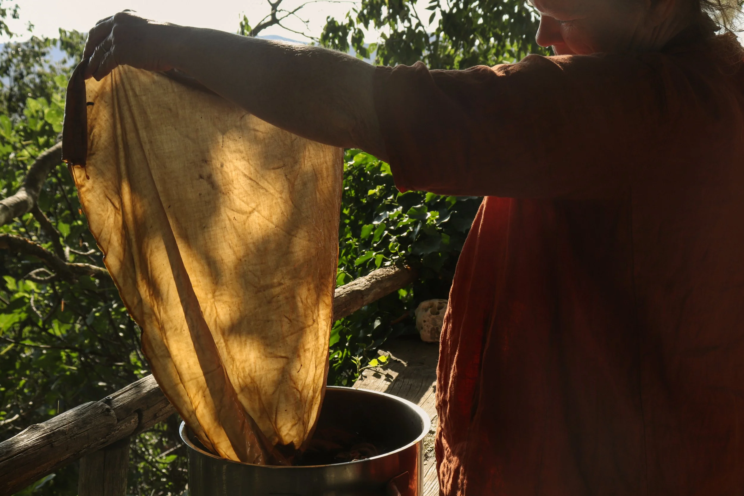 Natural dyeing.JPG