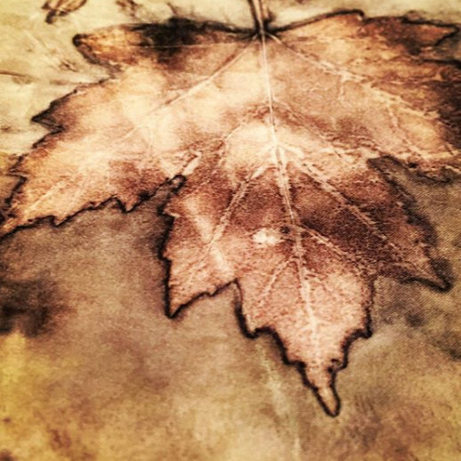 Maple leaf ecoprint on silk — What the Plants Know ecoprinting and natural dyeing instruction filmed at Il Baciarino, Tuscany