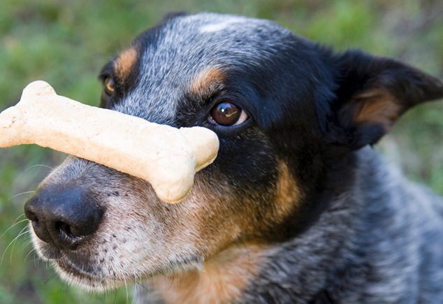 Self control in play.