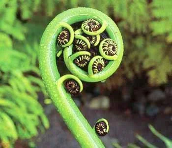 Formation episode 11 - Behold I make all things new (or do I?)