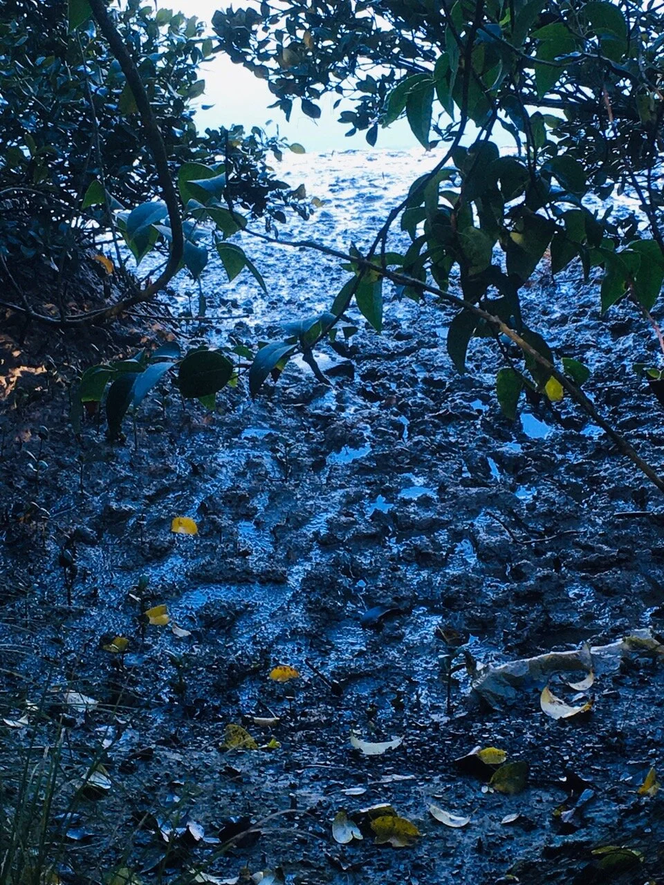 The absurdity of hope