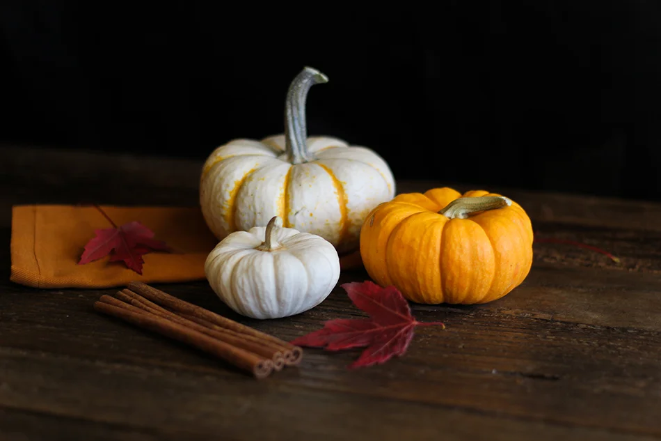 Vegan pumpkin pie steamer-16.jpg