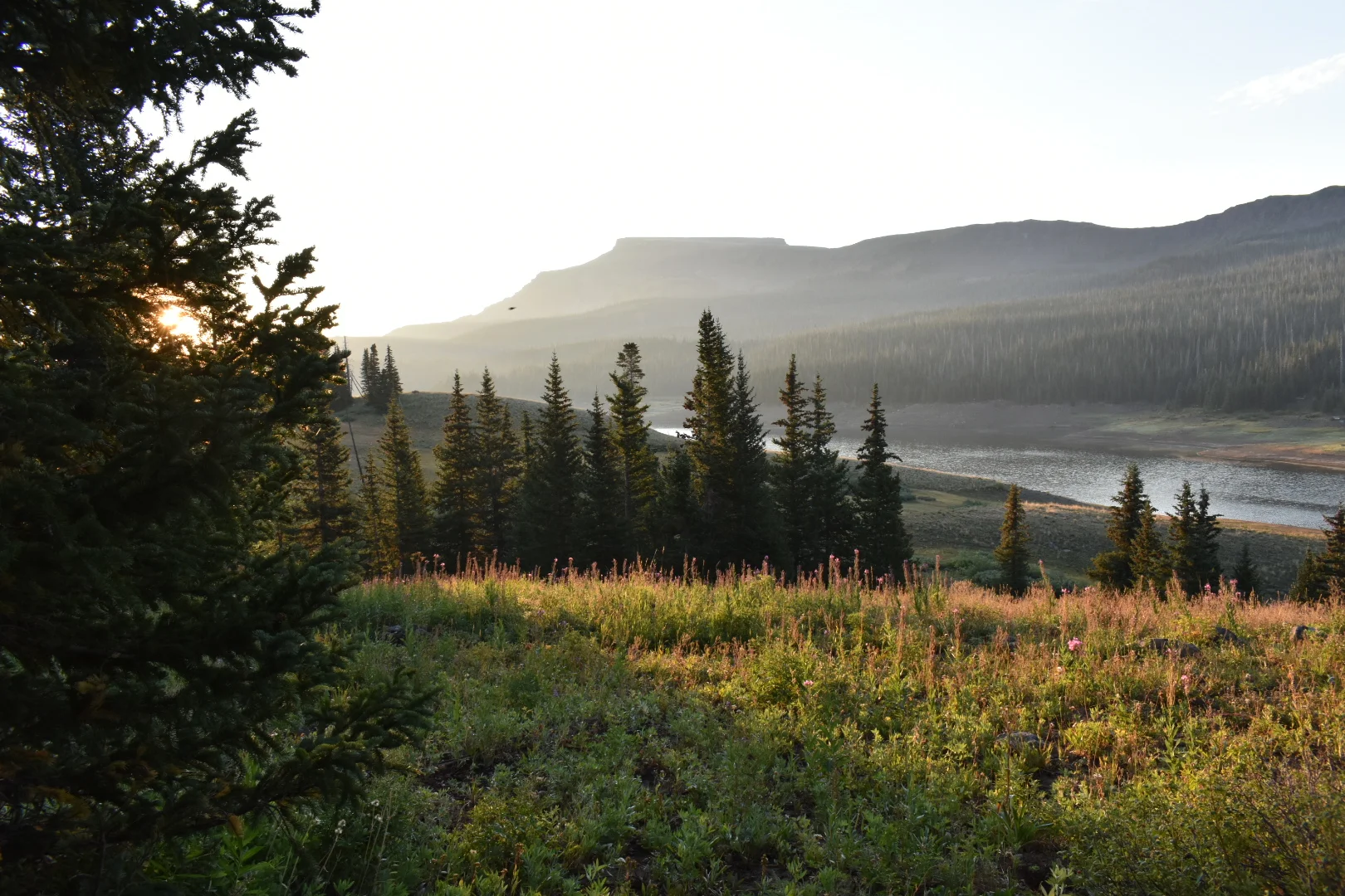 Colorado