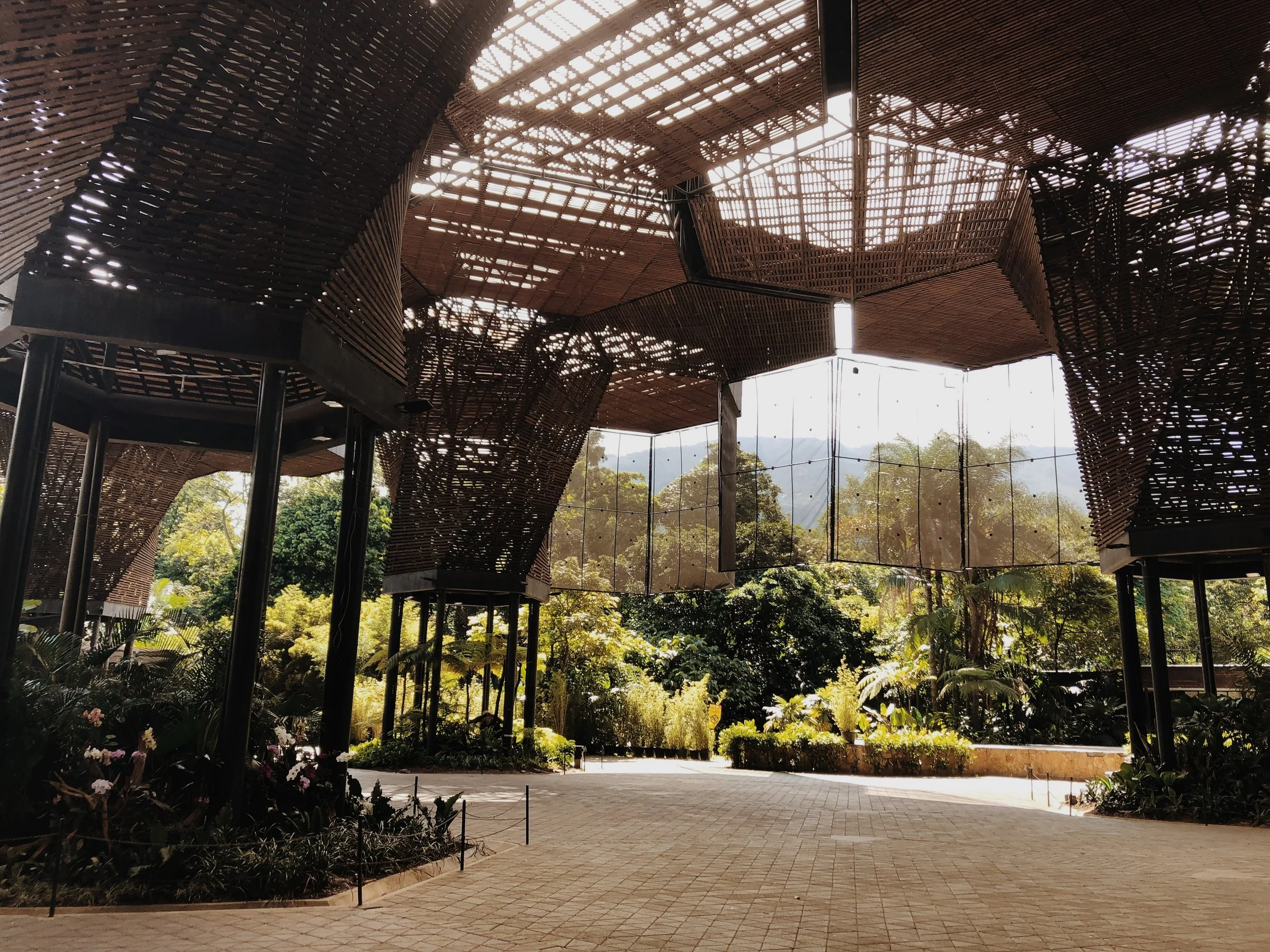 Medellin