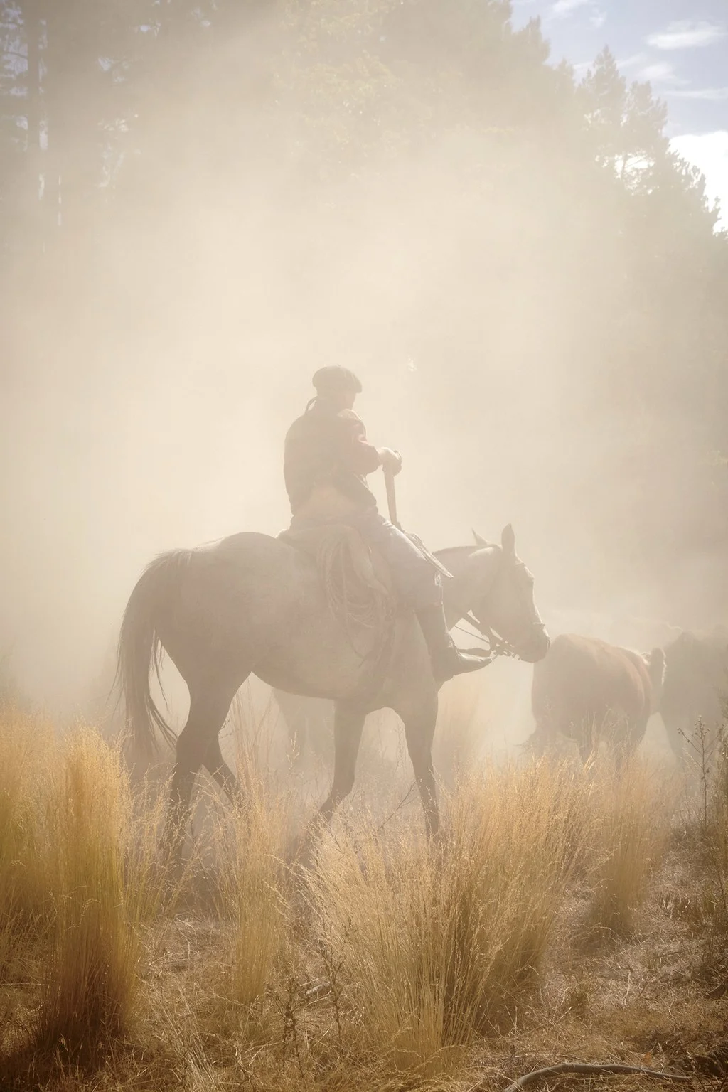A gaucho herding cattle through desert dust.