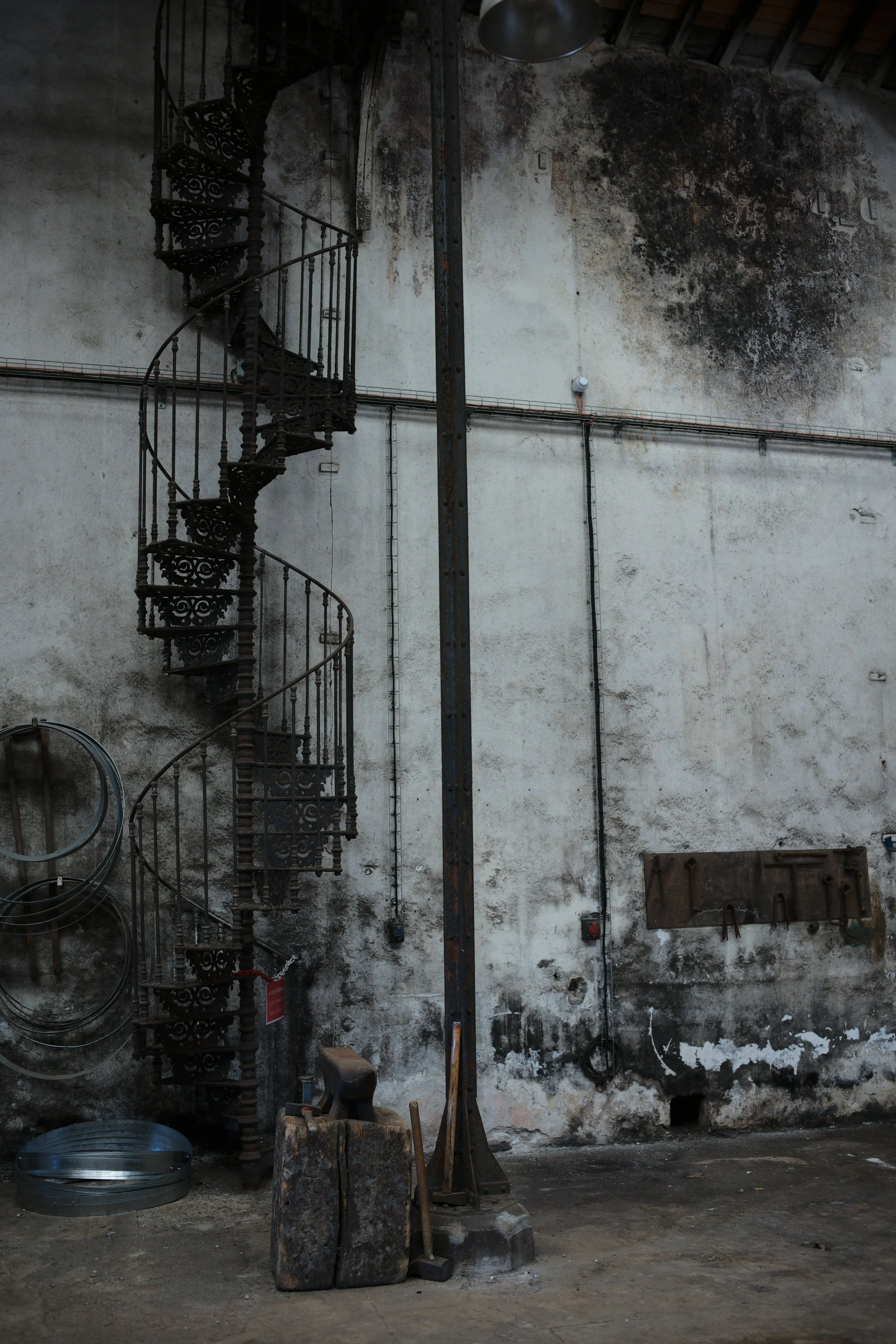 L1003743.jpg