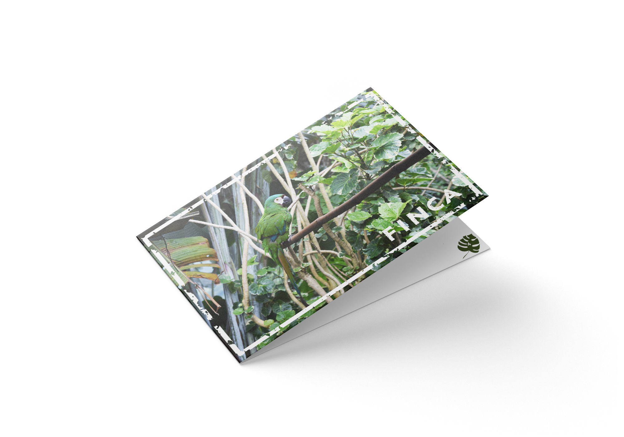 Finca_Brochure_Front.png
