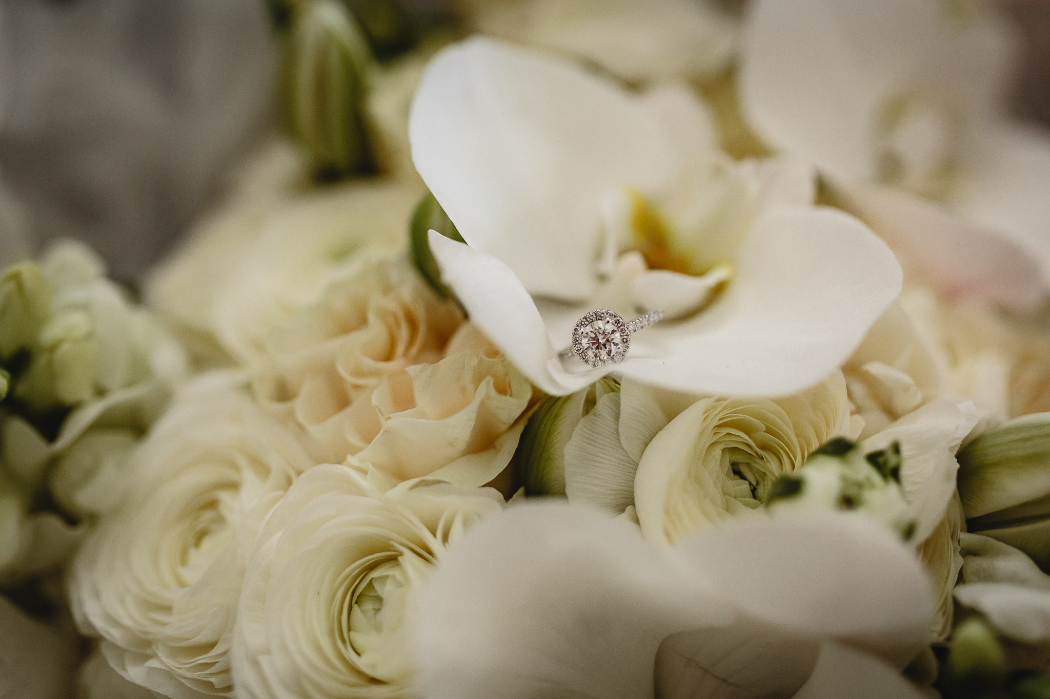 Sydney Wedding Photographer-1.jpg