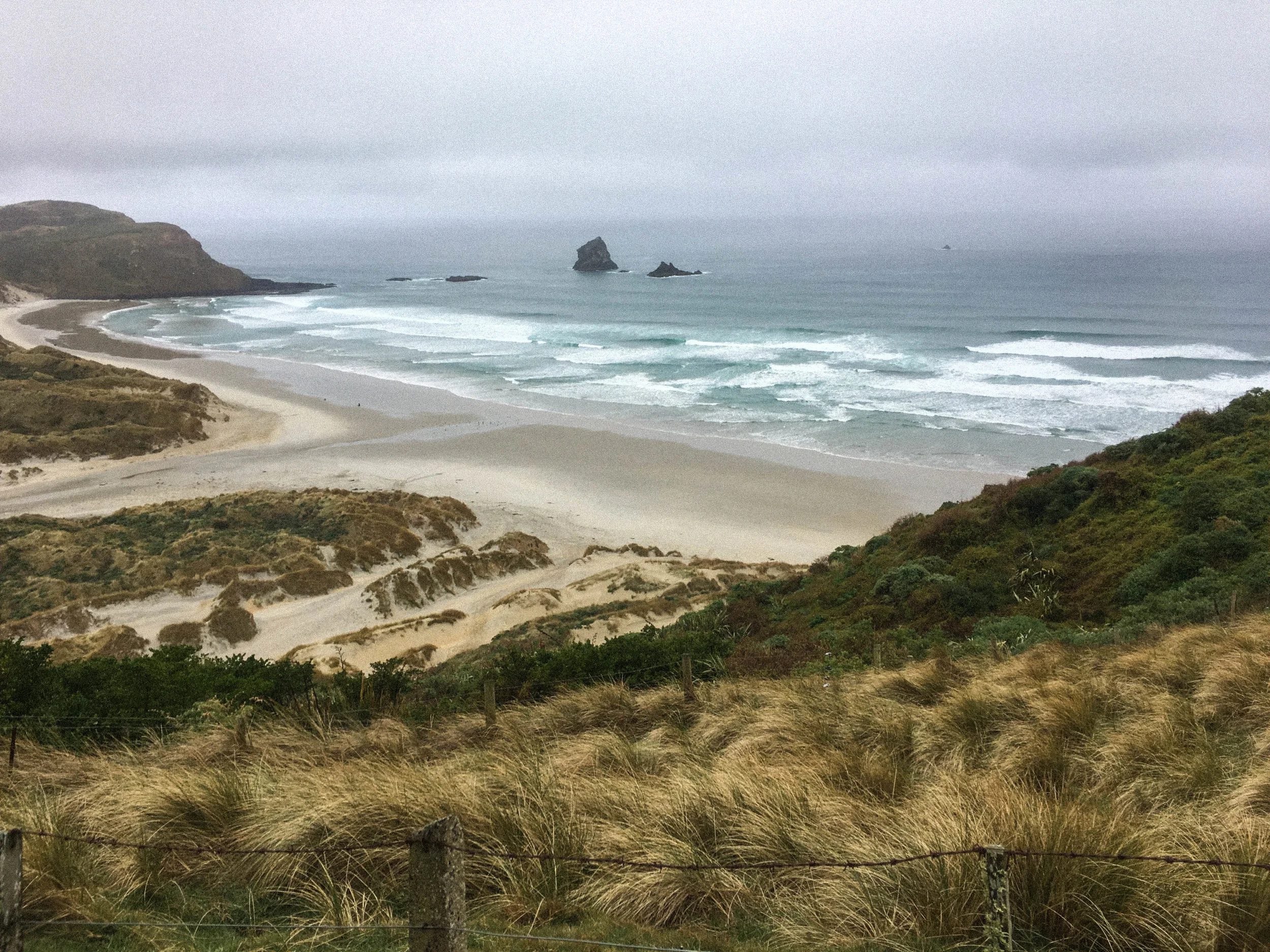 Early morning, Sandfly Bay, Dunedin.
