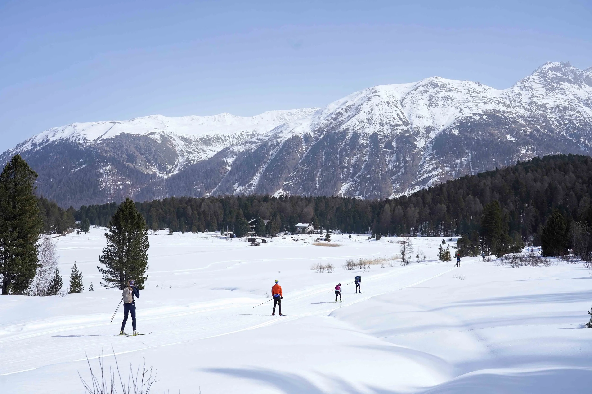 Skier enjoying fresh snow in the Engadin Valley in the Swiss Alps