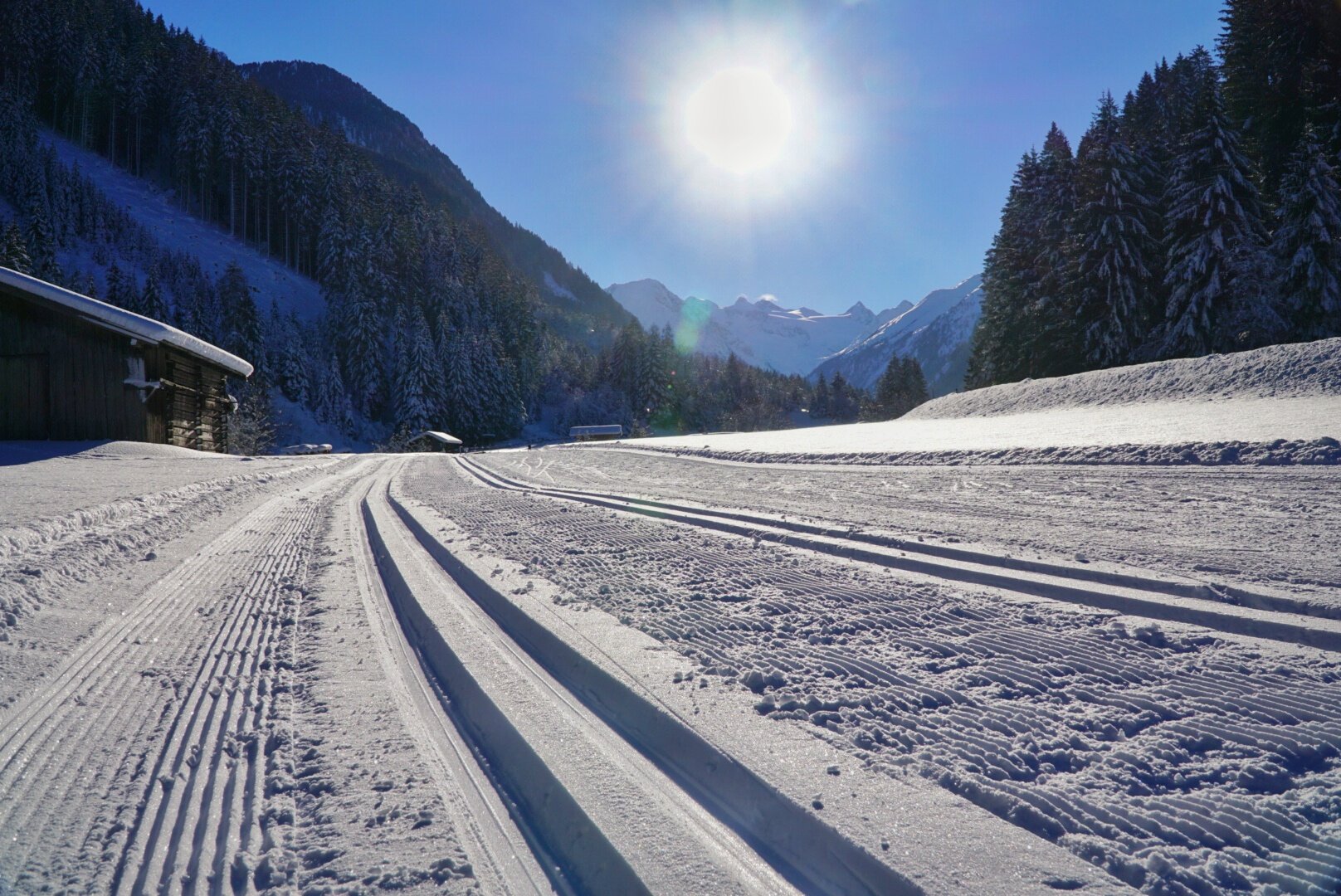 Snow certainty: snow-making at most trail networks