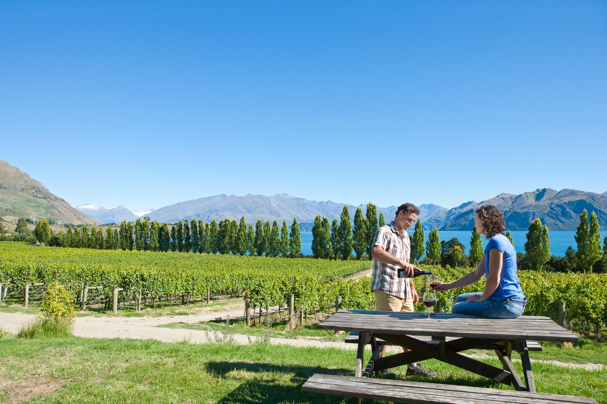 Wine tasting at a local Otago vineyard