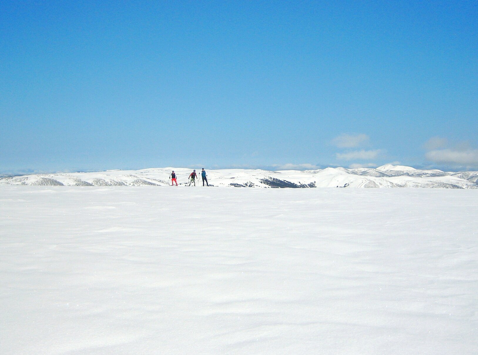 Late-August can be excellent for crust cruising on the Bogong Plateau