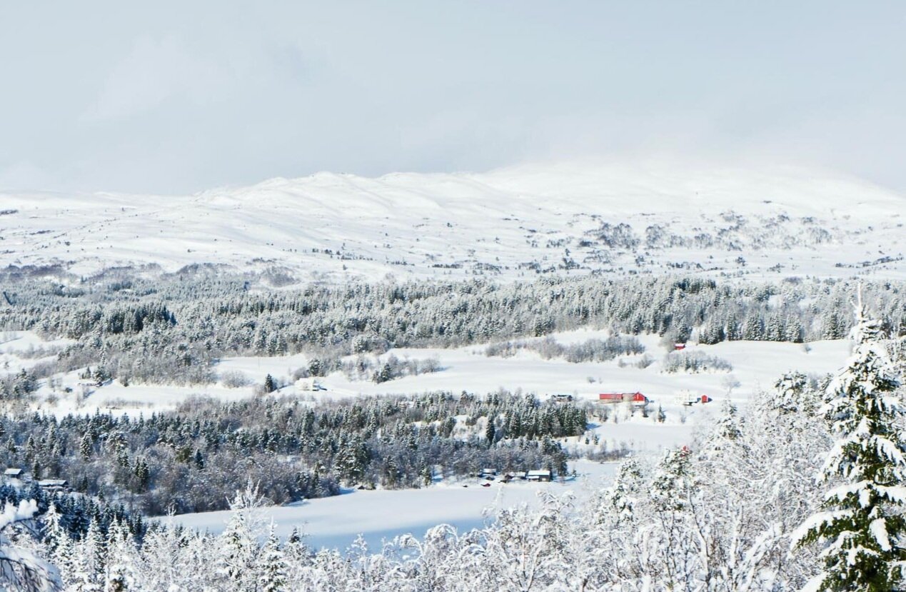 lumi-experiences-norway-birken-norwegian-birkebeiner+%2818%29.jpg
