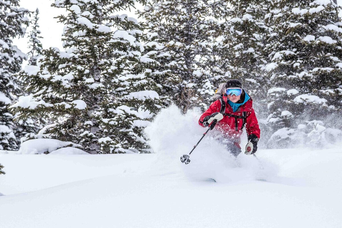 Alpine skiing