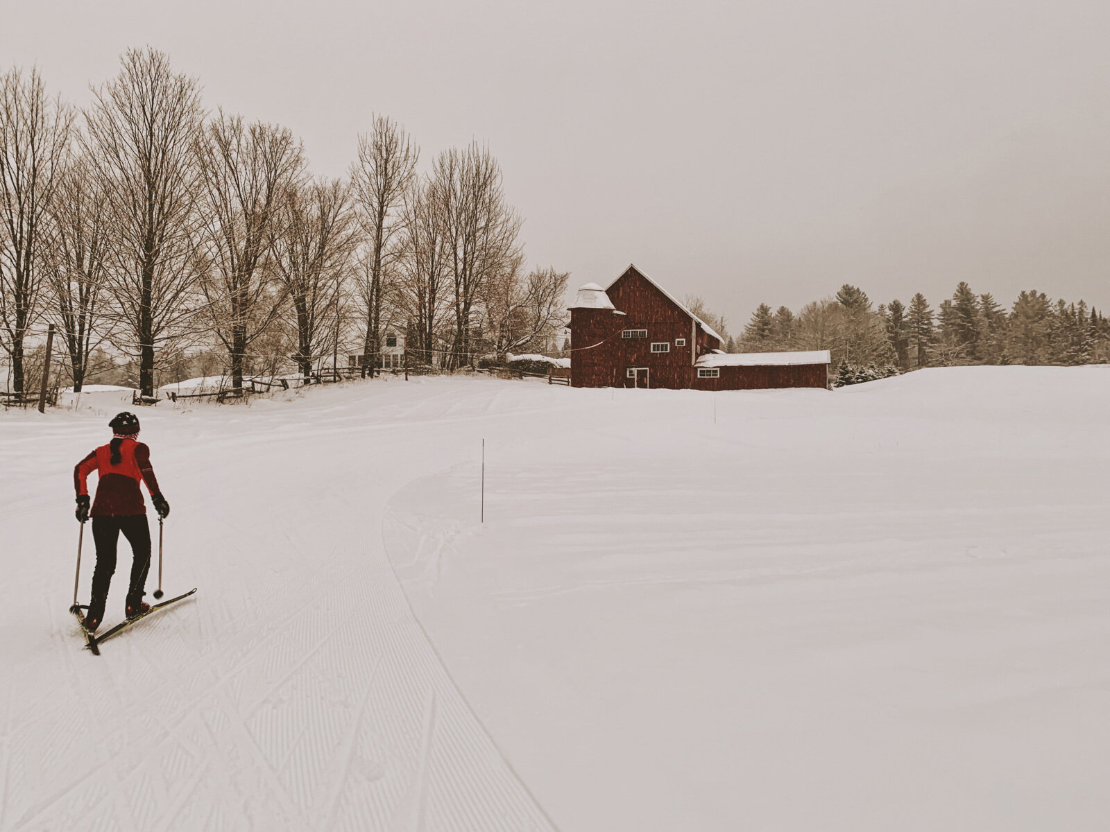 Ski at additional areas, including the Craftsbury Outdoor Center
