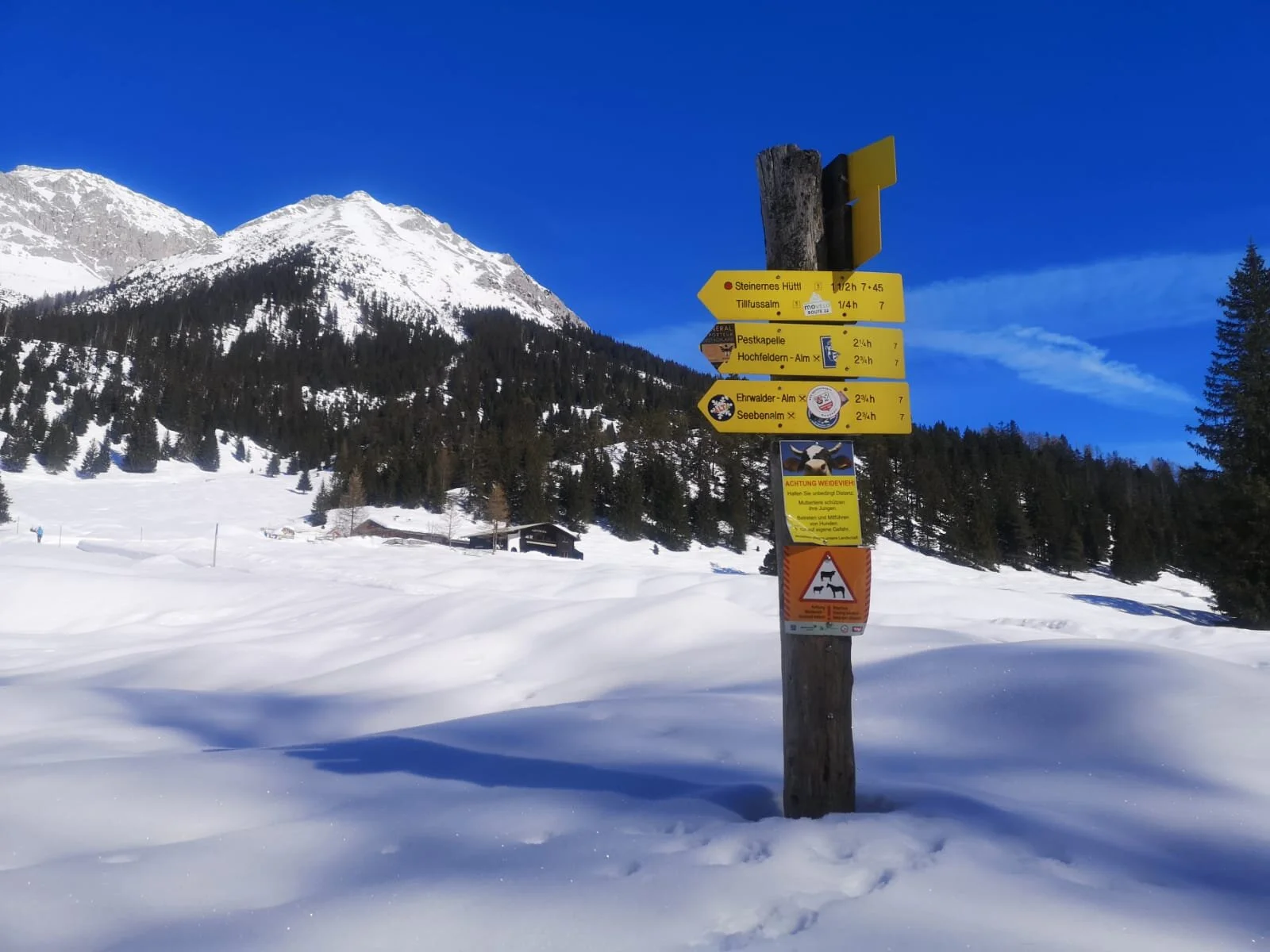 Crust Cruising & the Icarus Rule