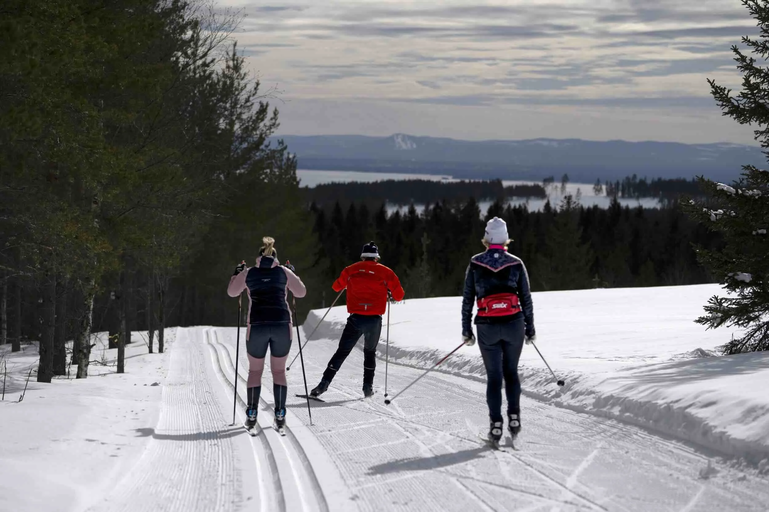 Dalarna group skiing.jpeg