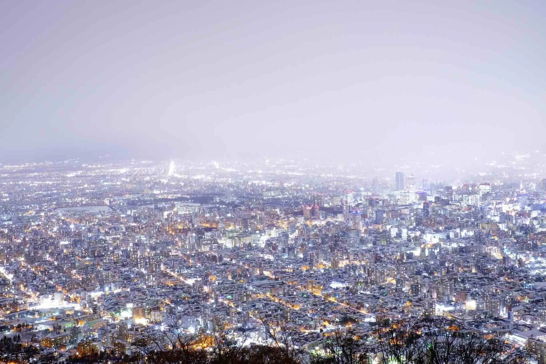 Sapporo winter cityscape.jpeg