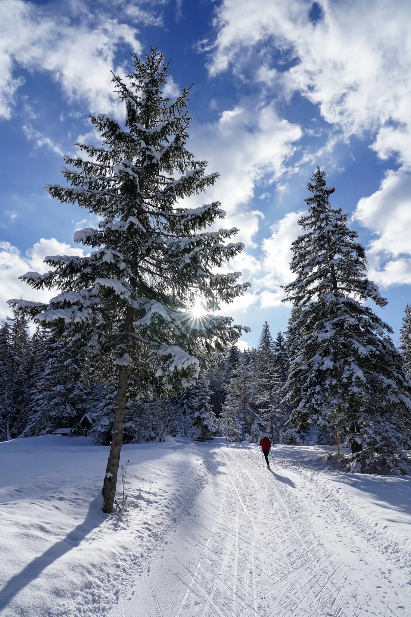 3 Seefeld's current conditions are hard to beat.jpg