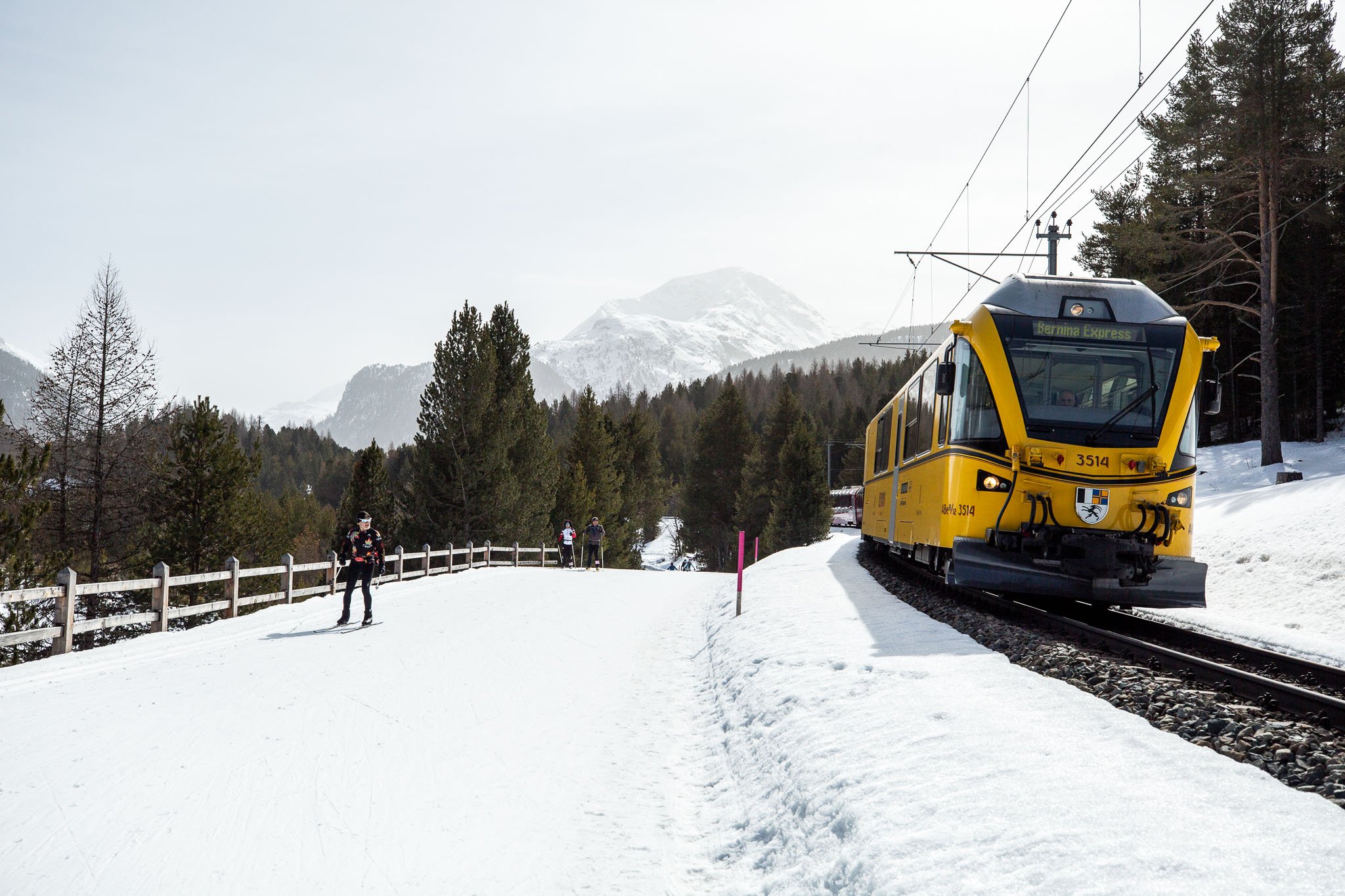 Ground transportation throughout the trip, including Switzerland's famous public trains and buses