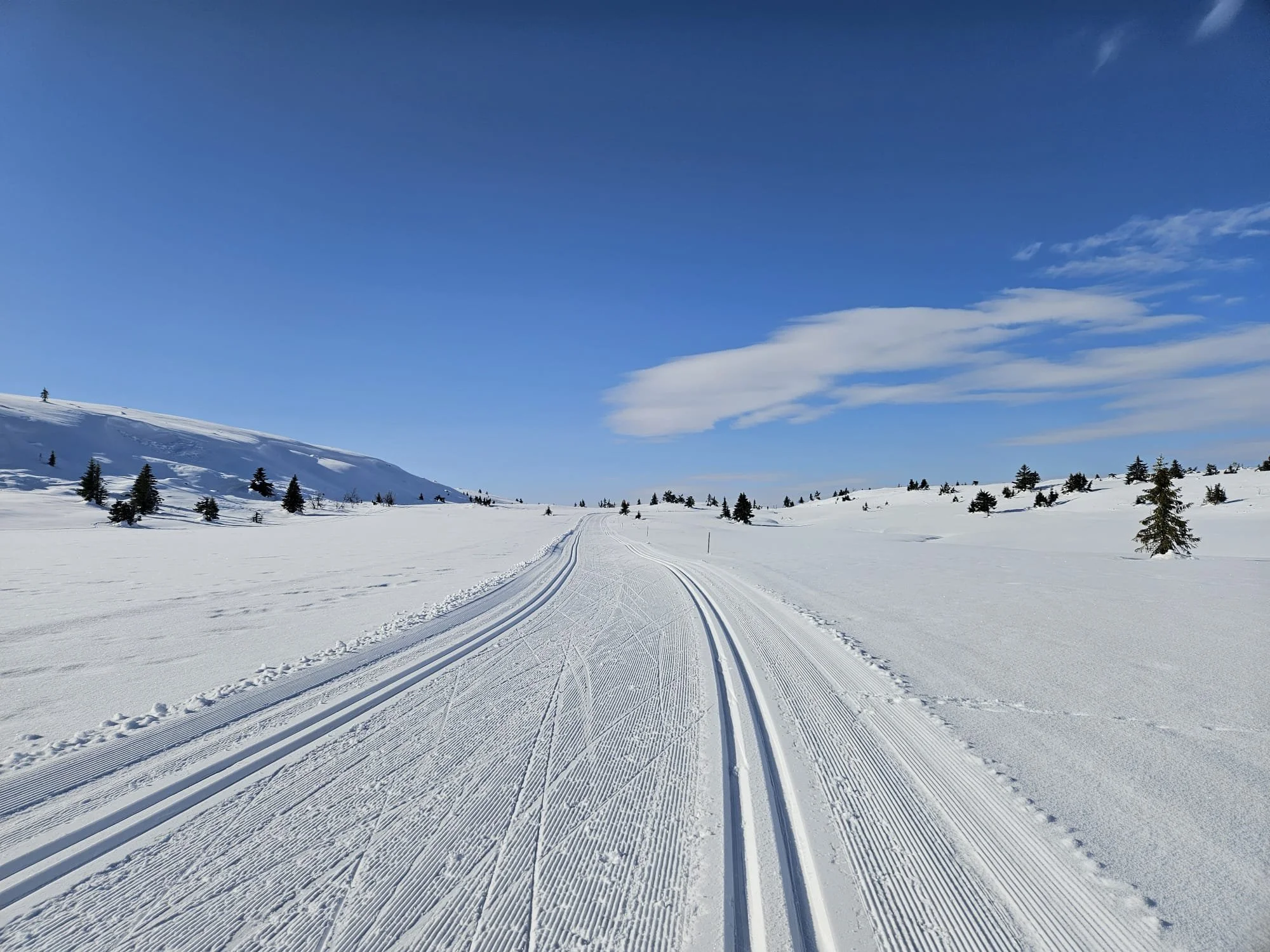 Daily trail recommendations from local, expert trip leaders