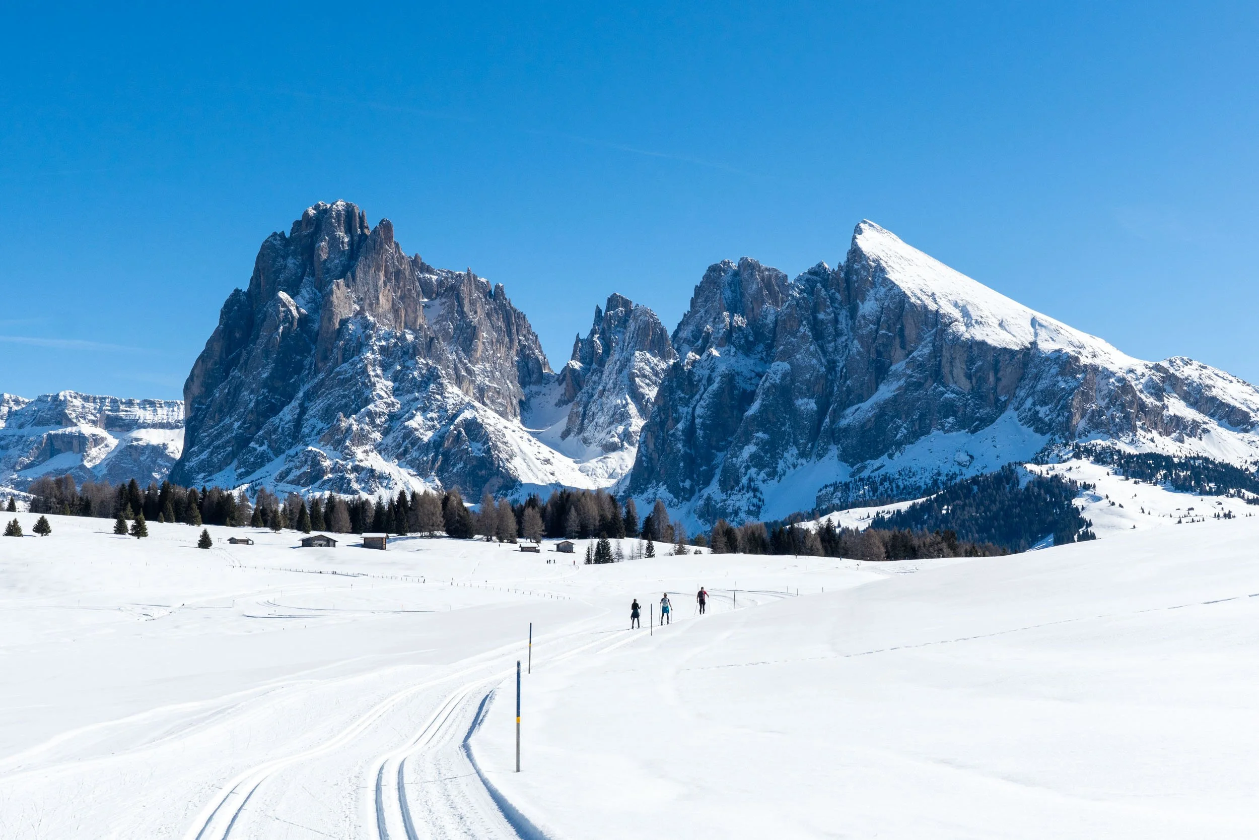 Seiser Alm - February 2026-21.jpg