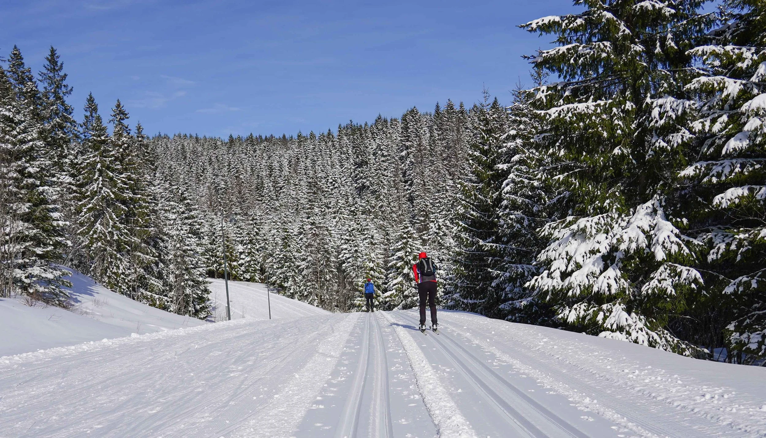 2023 Norway Birken - Lumi Experiences (50).jpg