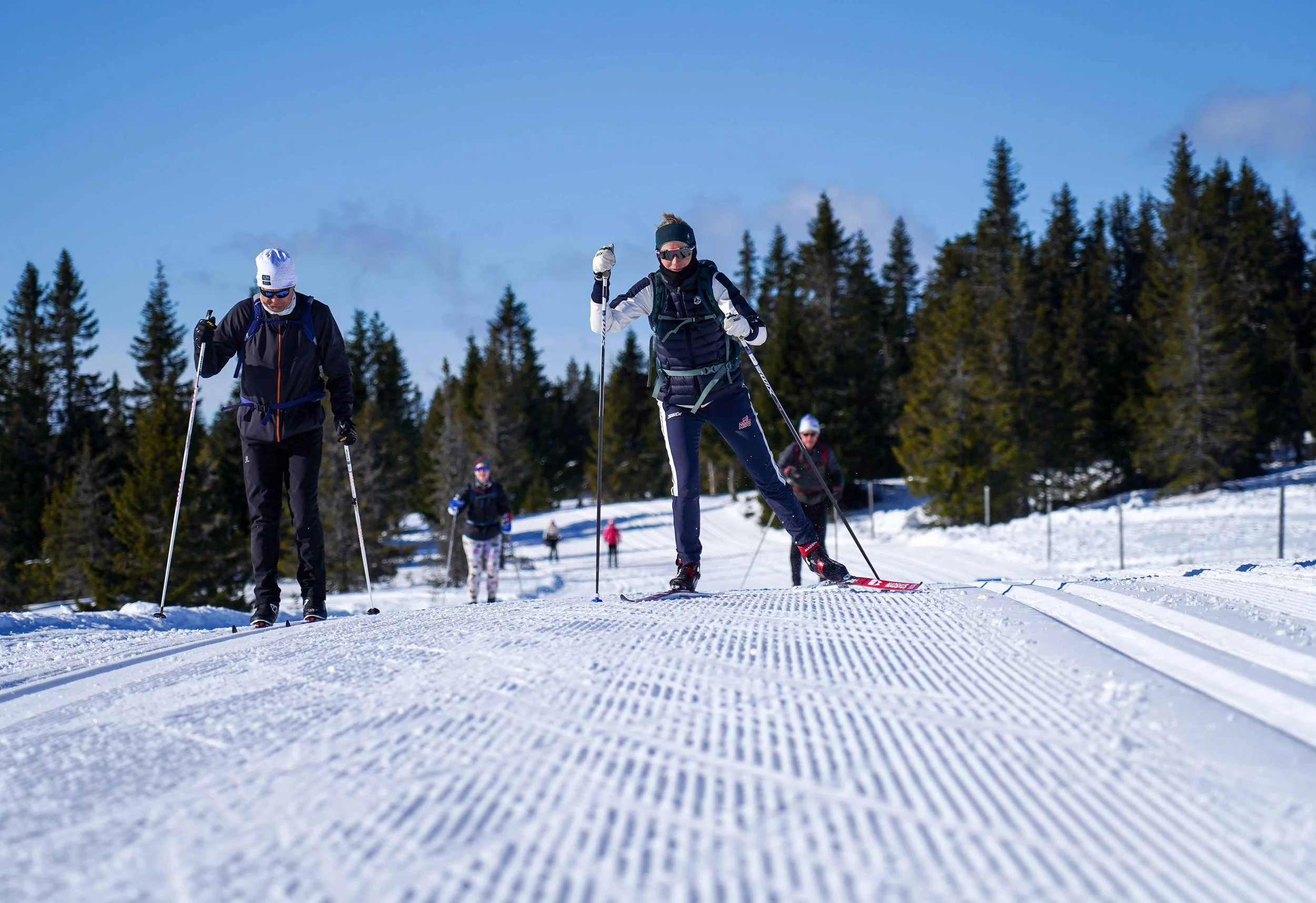 Daily trail recommendations from your local trip leaders